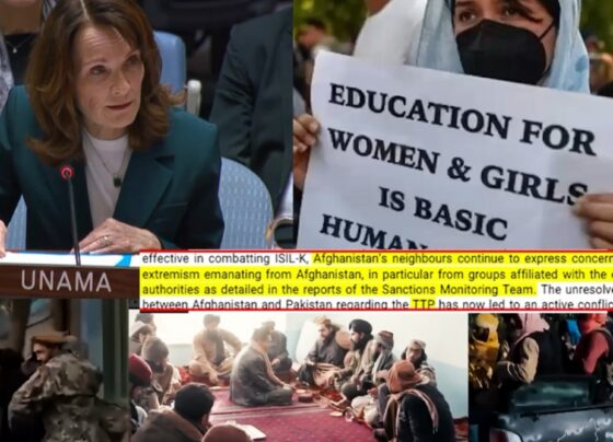 افغان طالبان رجیم دہشتگردوں کی سرپرست،عالمی استحکام کیلئے خطرہ، اقوام متحدہ نے خبردار کر دیا