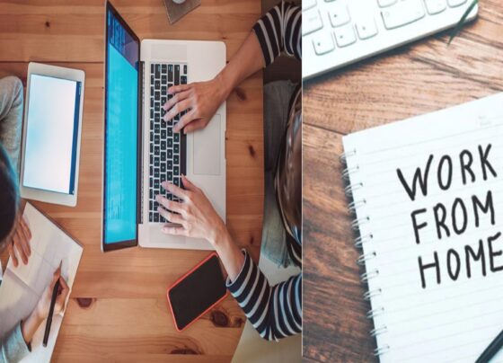 تعلیمی اور سرکاری ادارے دوبارہ آن لائن ؟ عوام کیلئے اہم خبر آگئی