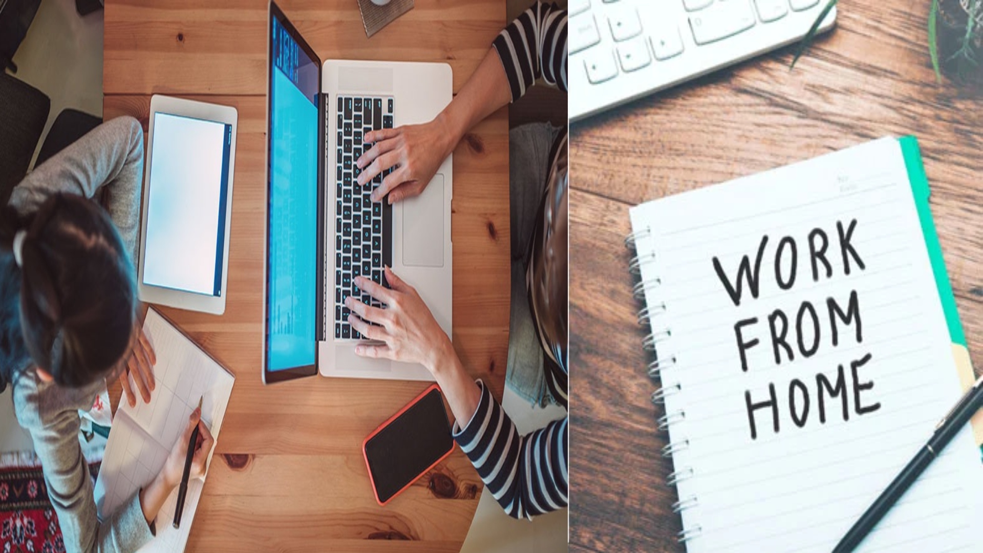 تعلیمی اور سرکاری ادارے دوبارہ آن لائن ؟ عوام کیلئے اہم خبر آگئی