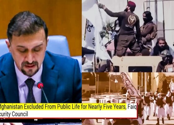 اقوام متحدہ میں افغان مندوب نے طالبان رجیم کی دہشتگردانہ پالیسیوں کو بے نقاب کردیا