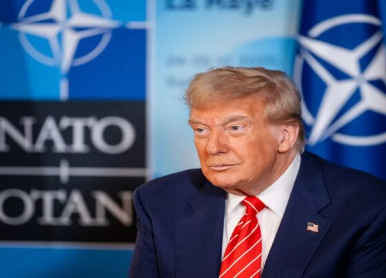 آبنائے ہرمز کھلوانے میں مدد نہ کی تو نیٹو کا مستقبل بہت برا ہوگا ، امریکی صدر ٹرمپ