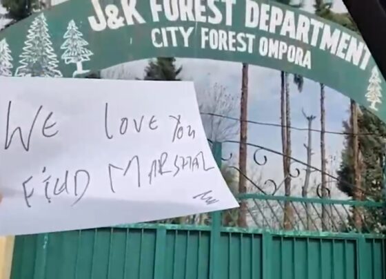 مقبوضہ کشمیر میں پاکستانی عسکری قیادت سے محبت کا اظہار، ویڈیو سوشل میڈیا پر وائرل