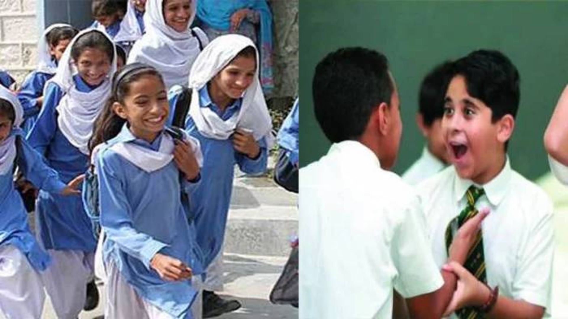 تعلیمی اداروں کی بندش یا آن لائن کلاسز، وزیر تعلیم  کا بڑا بیان سامنے آگیا