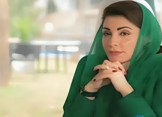 چھوٹی صنعتوں کے فروغ کیلئے وزیراعلیٰ پنجاب مریم نواز کا بڑا اقدام
