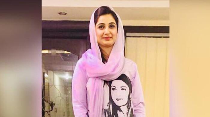 ایران اسرائیل جنگ سے  عالمی معاشی و توانائی بحران پیدا ہو گیا، حکومت عوام پر کم سے کم بوجھ ڈالنے کے لیے کوشاں ہے: ثانیہ عاشق