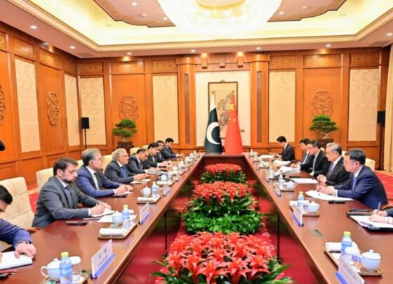 اسحاق ڈار اور وانگ ای کی بیجنگ میں ملاقات ، مشرق وسطیٰ میں امن کیلئے 5 نکاتی اقدام پر اتفاق