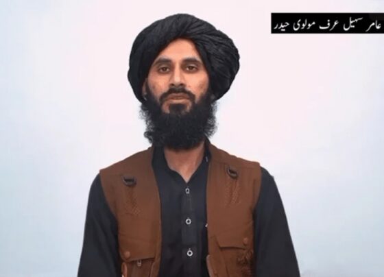 طالبان رجیم اور فتنہ الخوارج کا گٹھ جوڑ بے نقاب ، سیکیورٹی فورسز کے ہاتھوں گرفتار سرغنہ کے اہم انکشافات