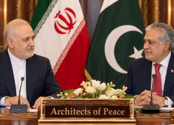 پاکستان ’امن کا معمار‘ ہے، دل سے شکر گزار ہیں، ایرانی سفیر رضا امیری مقدم کا پیغام