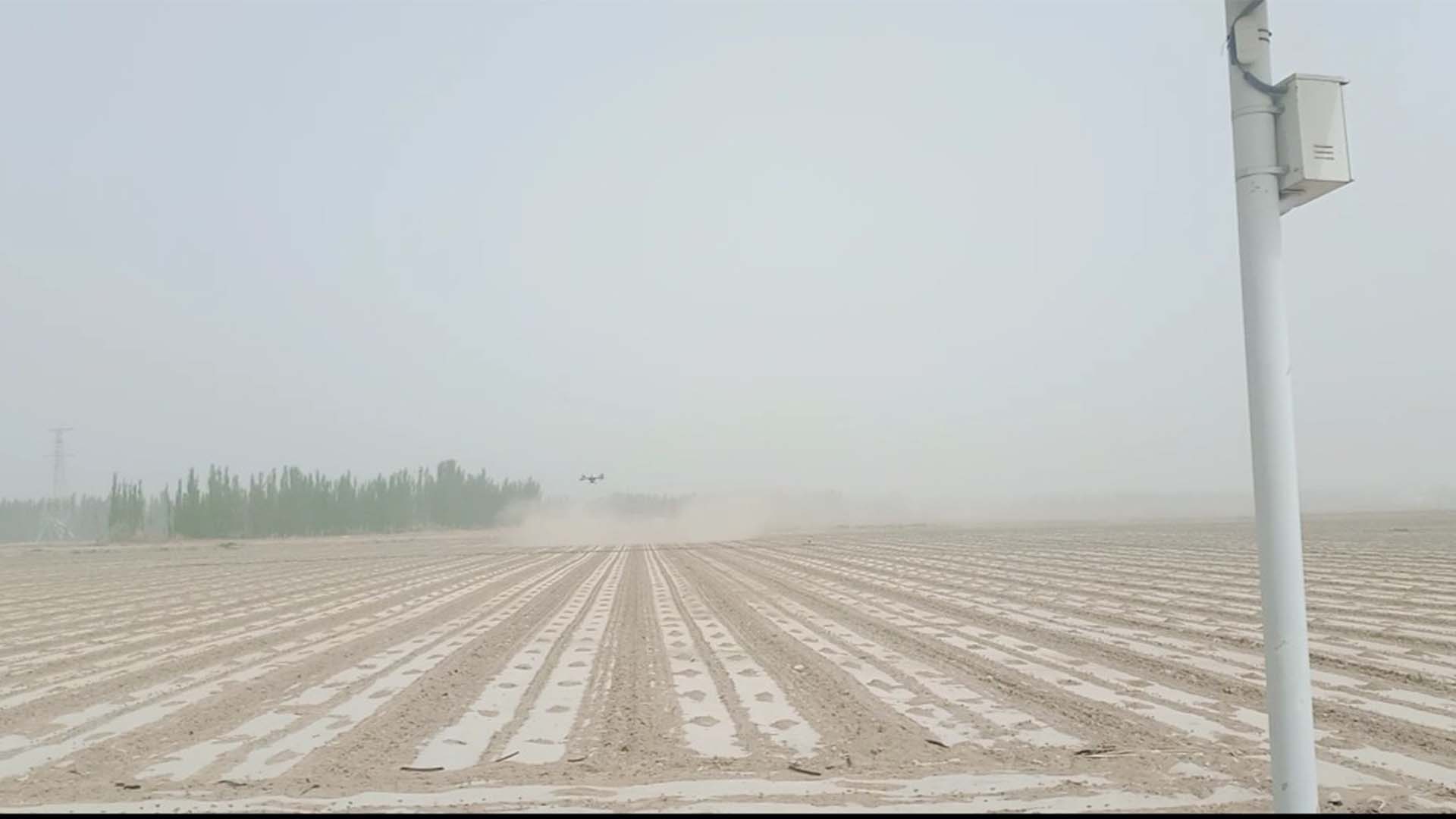چین کا گرین ماڈل، پاکستان کیلئے ماحولیاتی اور زرعی انقلاب کی نئی راہ