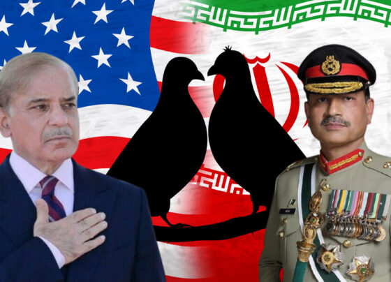 وزیراعظم اور فیلڈ مارشل کی سفارتی پالیسی کی تعریف