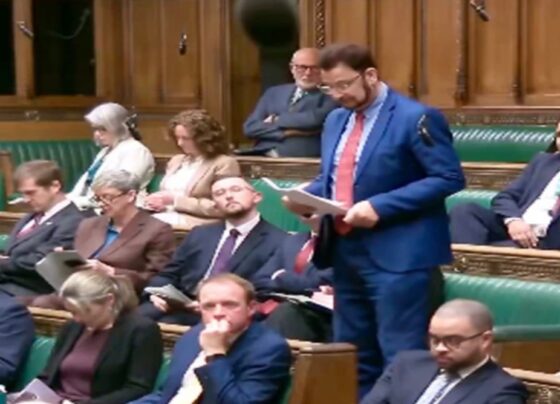 برطانوی پارلیمنٹ میں بھی پاکستان کی کامیاب سفارتکاری کی گونج