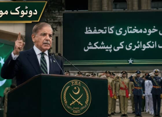 بھارت نے پانی روکنے یا موڑنے کی کوشش کی تو خوفناک جواب ملے گا، شہباز شریف