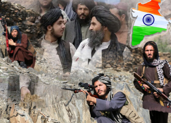 بھارت طالبان کی پشت پناہی کے ذریعے دہشتگردی پھیلا رہا ہے