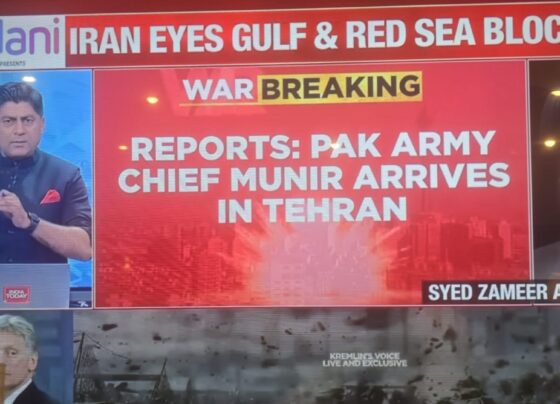 بھارتی میڈیا