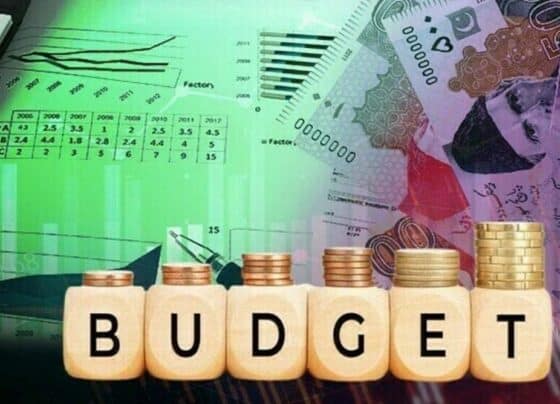 نئے وفاقی بجٹ میں تنخواہ دار طبقے کو ریلیف دینے کی تجویز