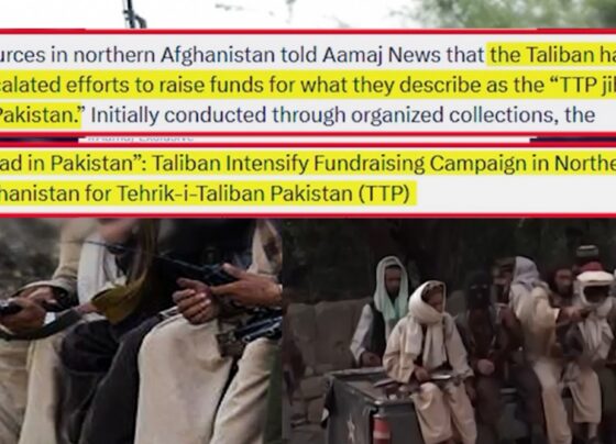پاکستان میں دہشتگردی پھیلانےکاگھناؤنا منصوبہ، افغان طالبان رجیم کامکروہ چہرہ بےنقاب