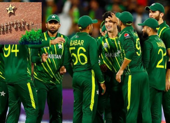 پاکستان کرکٹ بورڈ کا کھلاڑیوں کی فٹنس بہتر بنانے کیلئے بڑا فیصلہ