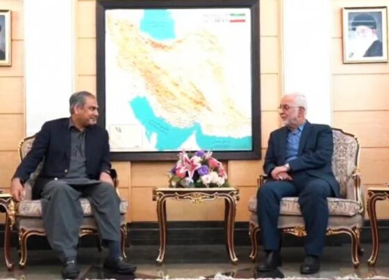 وفاقی وزیر داخلہ کی ایرانی ہم منصب سے ملاقات، علاقائی صورتحال پر تبادلہ خیال