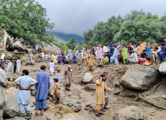 خیبر پختونخوا میں بارشوں سے 30 اموات، 140گھر تباہ : پی ڈی ایم اے