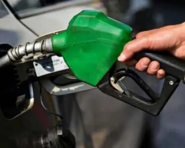 ڈیجیٹل سسٹم سے کن شہریوں کو سستا پیٹرول ملے گا ؟ وفاقی وزیر نے شرائط بتا دیں