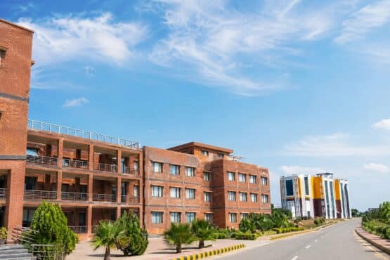 پی اے آئی خیبر پختونخوا میں 68 سالہ ’پی ڈی‘ کی 10 سالہ تعیناتی پر بڑا سوال اٹھ گیا