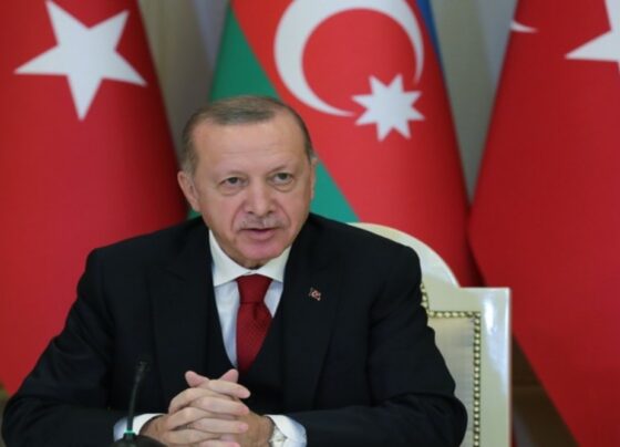 اسرائیل کے لبنان پر حملے علاقائی امن کی امید کیلئے نقصان دہ ہیں ، ترک صدر رجب طیب