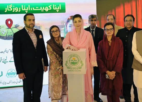 اپنا کھیت اپنا روزگار سکیم