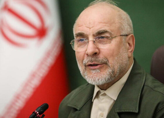 ایرانی سپیکر