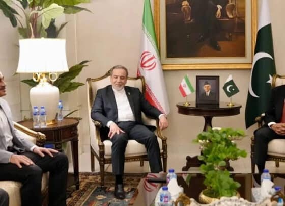 ایرانی وزیر خارجہ کی فیلڈ مارشل ، اسحاق ڈار سے ملاقات