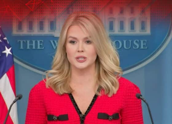 ترجمان وائٹ ہائوس