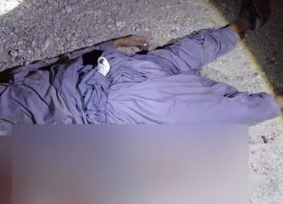 دہشتگرد ہلاک