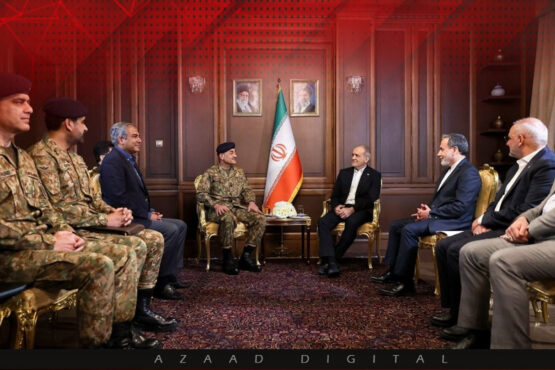 فیلڈ مارشل ملاقات