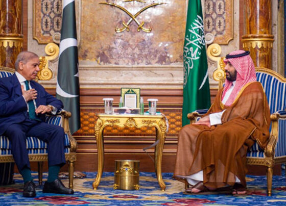 وزیر اعظم کی سعودی ولی عہد سے ملاقات