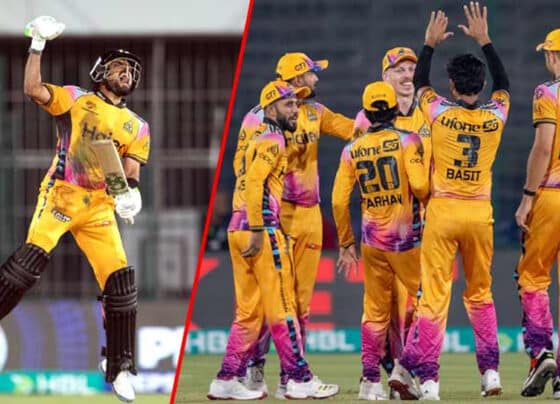 پی ایس ایل پشاور زلمی