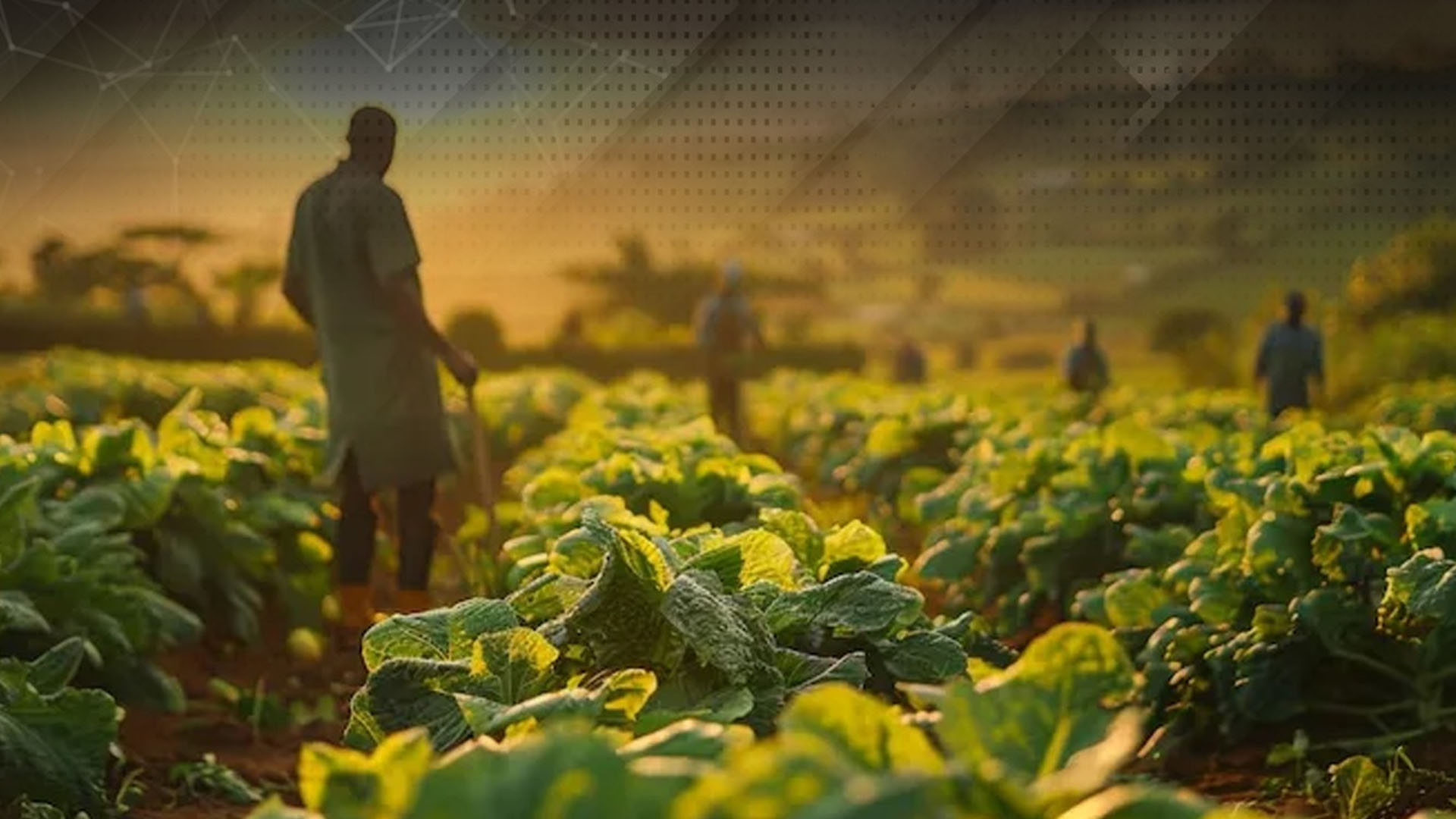 کاشتکاروں کے لیے بڑے ریلیف پیکج کا اعلان