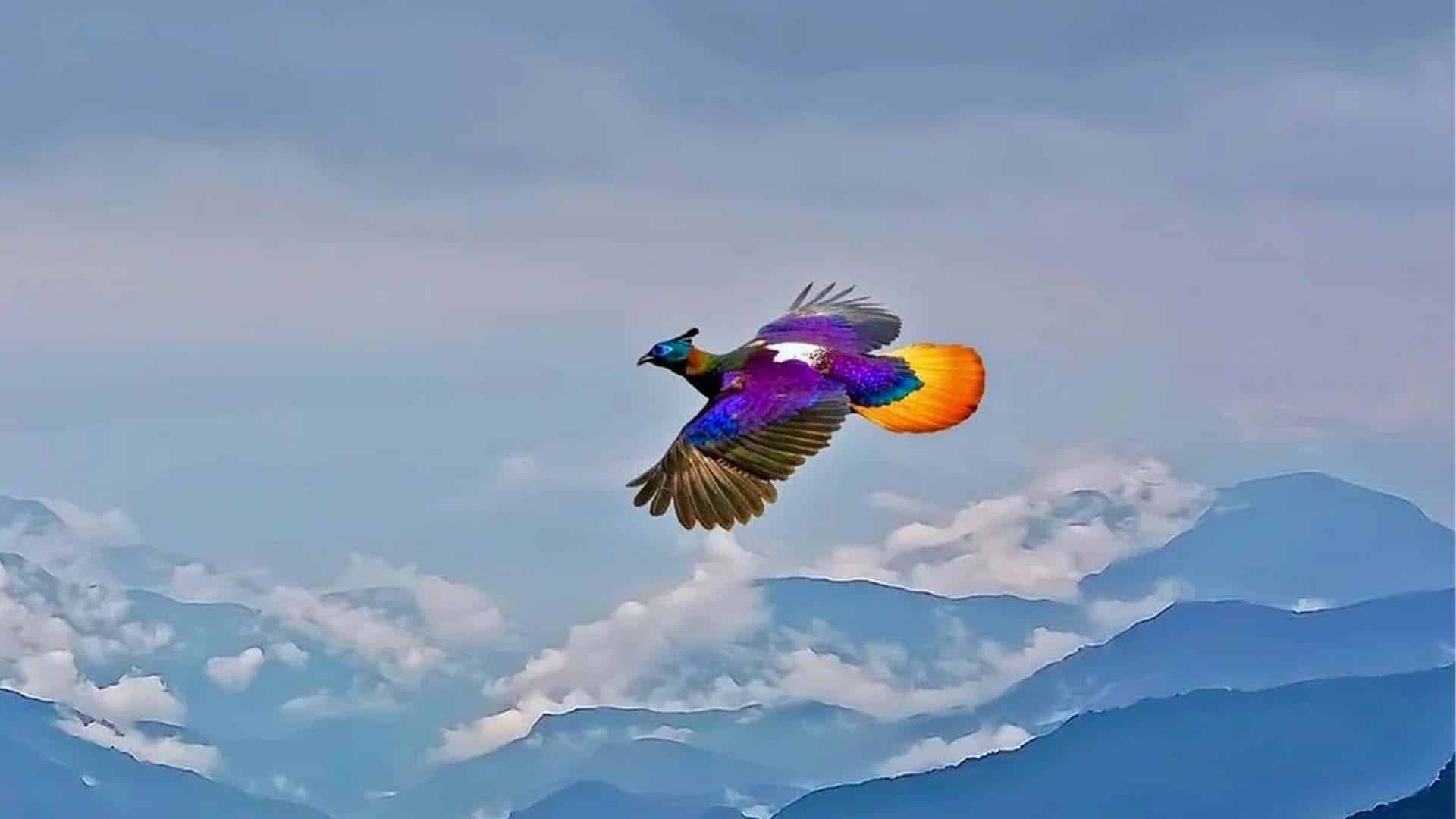 ہمالین مونال، سورج کی روشنی میں رنگ بدلنے والانایاب پرندہ