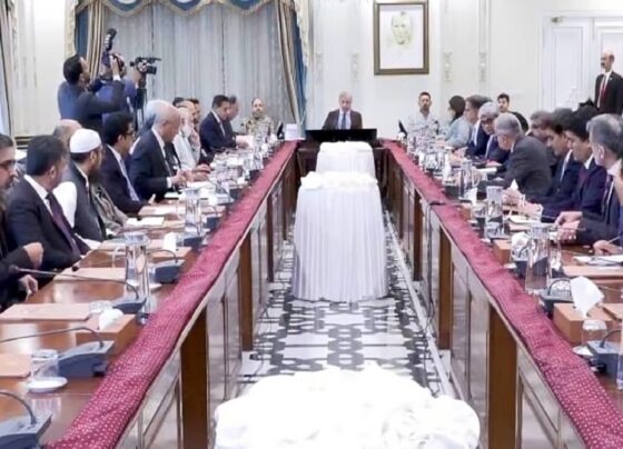 آئی ٹی برآمدات میں اضافہ حکومت کی اولین ترجیح، نوجوانوں کی صلاحیتوں سے بھرپوراستفادہ کیا جائے ، وزیراعظم