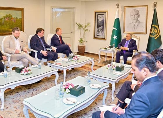 اسحاق ڈار سے نارویجن نائب وزیر خارجہ کی اہم ملاقات