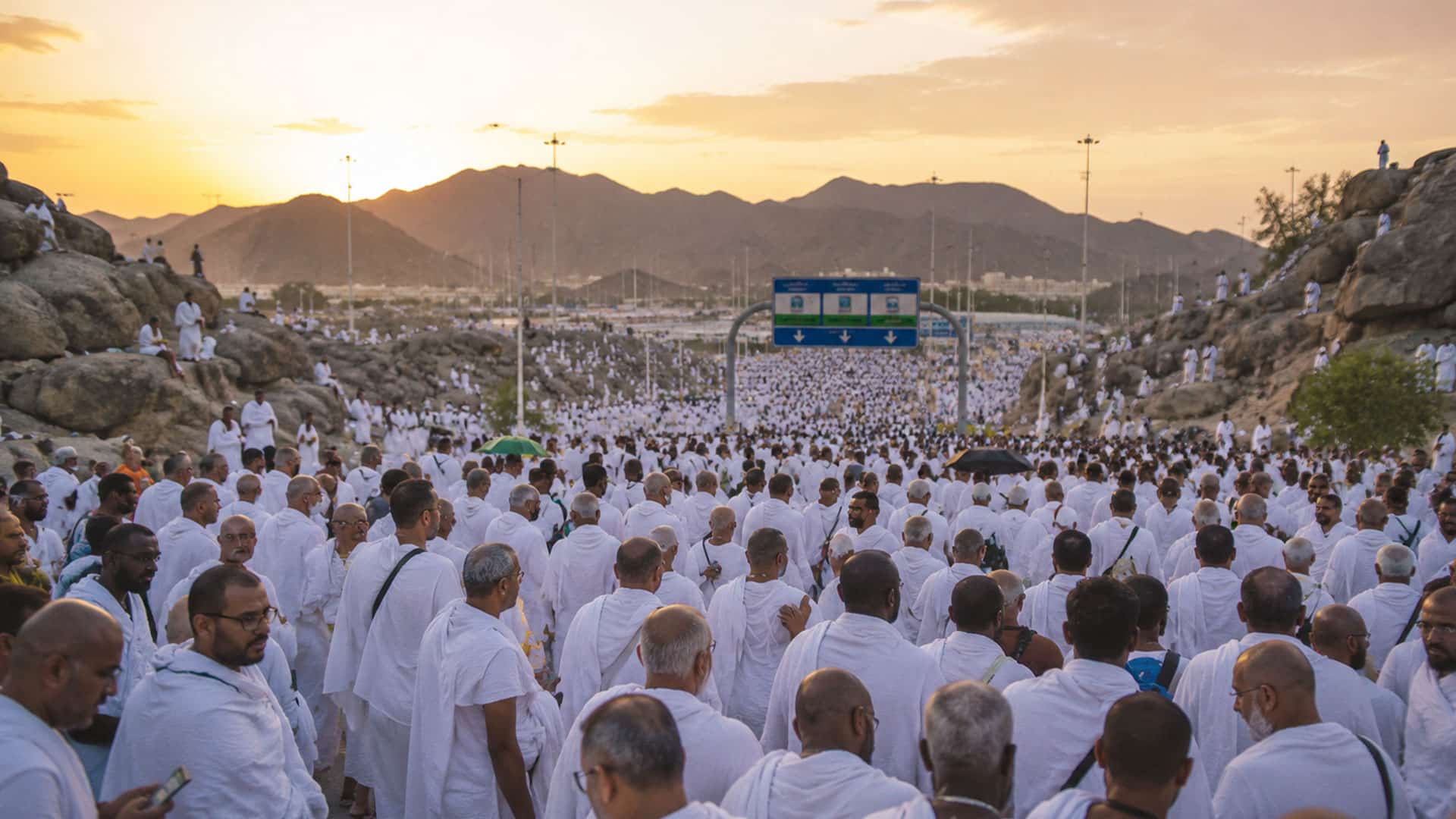’لبیک اللھم لبیک‘ کی صدائیں، حج کا رکنِ اعظم ادا کرنے لاکھوں عازمین میدانِ عرفات روانہ، ایمان افروز مناظر