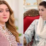 سیاسی اثر و رسوخ سے خواتین کا استحصال ناقابل برداشت ہے، مریم نواز