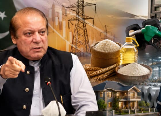 عوام کے پاس جانا ہے تو بجٹ میں یہ چیزیں سستی کرو؟ نواز شریف کا حکم