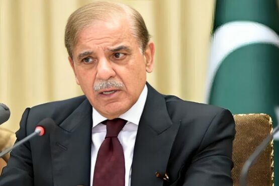 آئی ٹی برآمدات میں اضافہ حکومت کی اولین ترجیح، نوجوانوں کی صلاحیتوں سے بھرپوراستفادہ کیا جائے ، وزیراعظم
