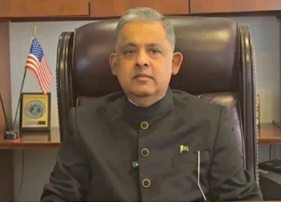 پاکستان کی امن کی خواہش کو کمزوری سمجھنے کی بھارت نے بڑی بھاری قیمت چکائی، رضوان سعید