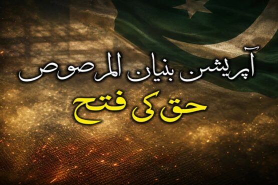 معرکہ حق میں بھارت کیخلاف پاکستان کی شاندار فتح، قومی اور عالمی میڈیا معترف