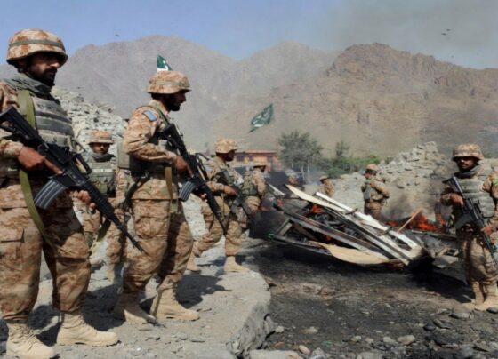 باجوڑ میں مینا اور عنایت کلے میں خوارج کے ناکام حملے میں 9 خوارج جہنم واصل