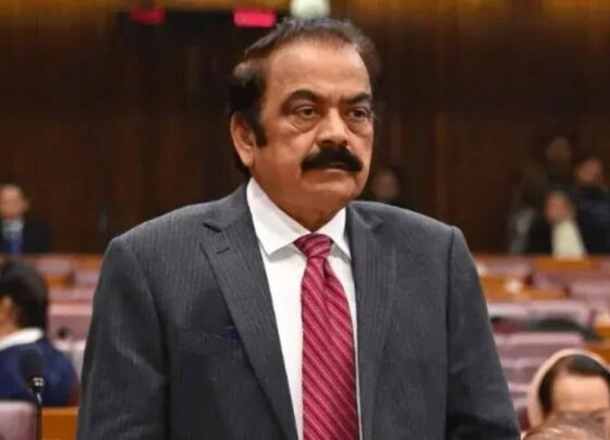 بشریٰ بی بی اور عمران خان دونوں کو بہترین علاج مہیا کیا جا رہا ہے ، رانا ثناء اللّٰہ