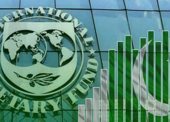 حکومت کی سولر پالیسی، آئی ایم ایف کی جانب سے تحفظات کا اظہار