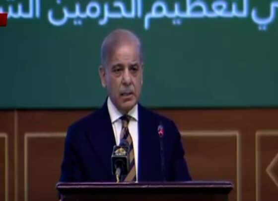 پاکستان نے دنیا میں امن کیلیے اہم کردار ادا کیا، وزیراعظم شہباز شریف
