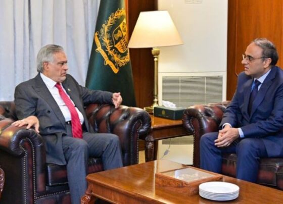 ایران کیساتھ تمام شعبوں میں دوطرفہ تعاون بڑھانا چاہتے ہیں، نائب وزیراعظم اسحاق ڈار