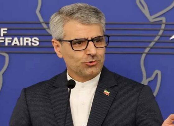 ایران کے سپریم لیڈر تمام معاملات اور امور پر مکمل نگرانی رکھتے ہیں، اسماعیل بقائی